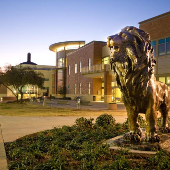 The new lion statue in front of the Rayburn Student center.